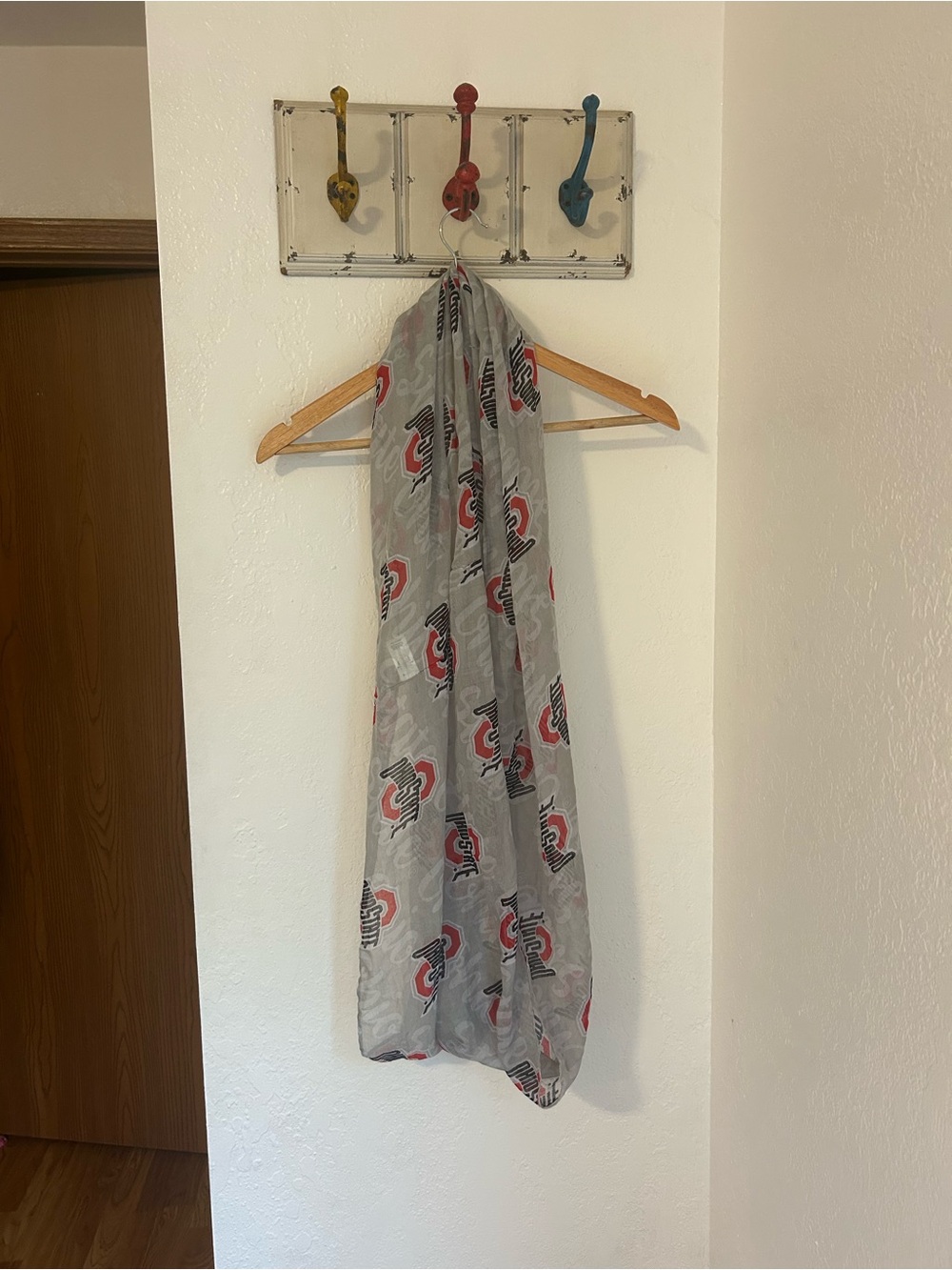 Ohio State Infinity Scarf